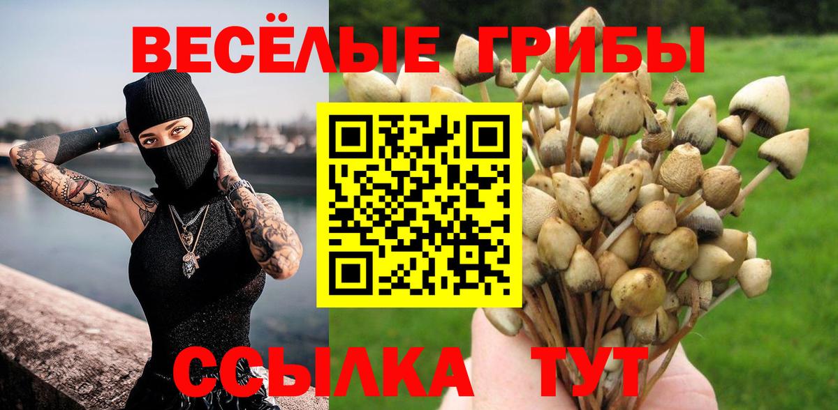 Галлюциногенные грибы прущие грибы  Вход с VPN  Унеча  Псилоцибиновые грибы мухоморы 